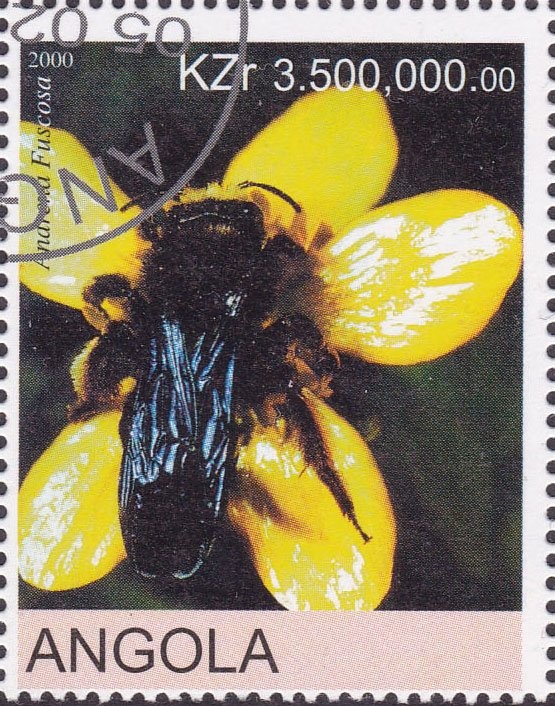 9-11 Twin Towers Terrorist Attack