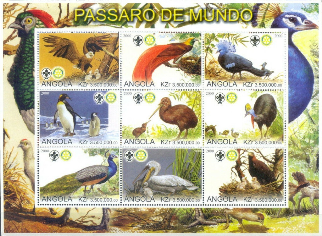 Double Banded Sandgrouse (Pterocles bicinctus)