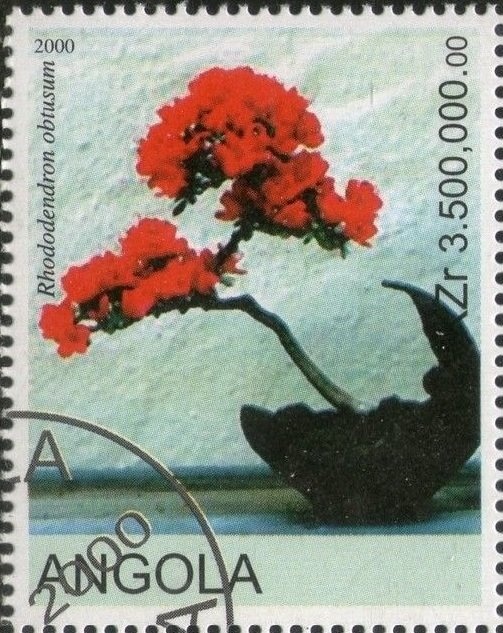 Harry Potter The Chamber of Secrets