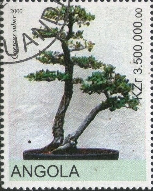 St. Mary's Anglican Church, The Valley