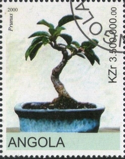 Countdown to the Millennium 100th Birth Anniv. Walt Disney