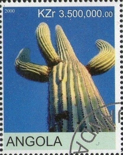 Malachite Kingfisher (Corythornis cristatus)