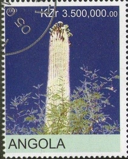 "Kite Flying" (Kyle Brooks)