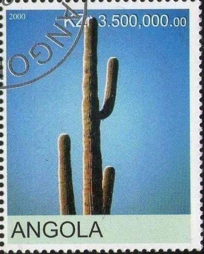 Bornean Orangutan (Pongo pygmaeus)