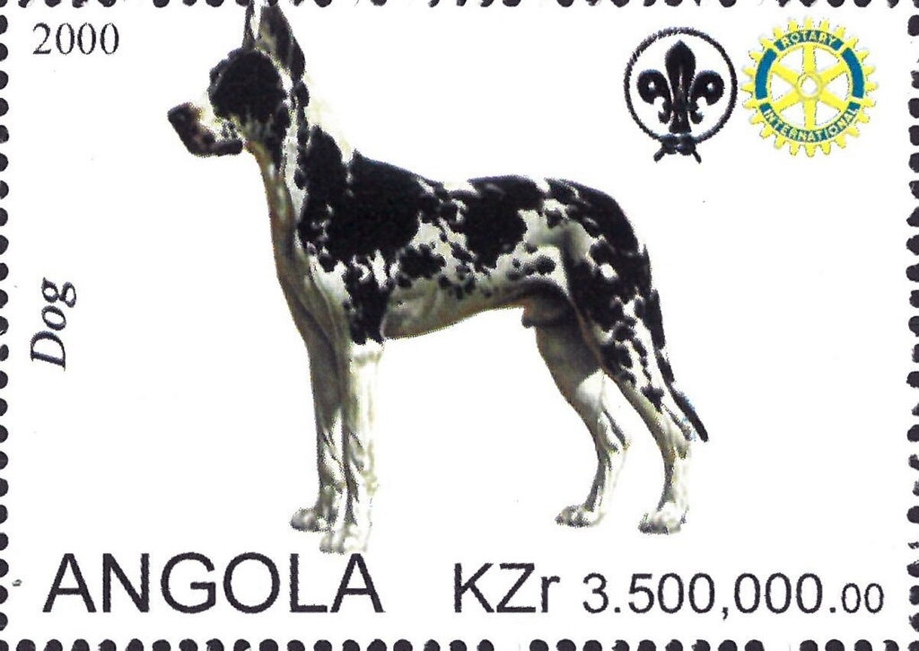 Scene from Walt Disney's "Bedknobs and Broomsticks"