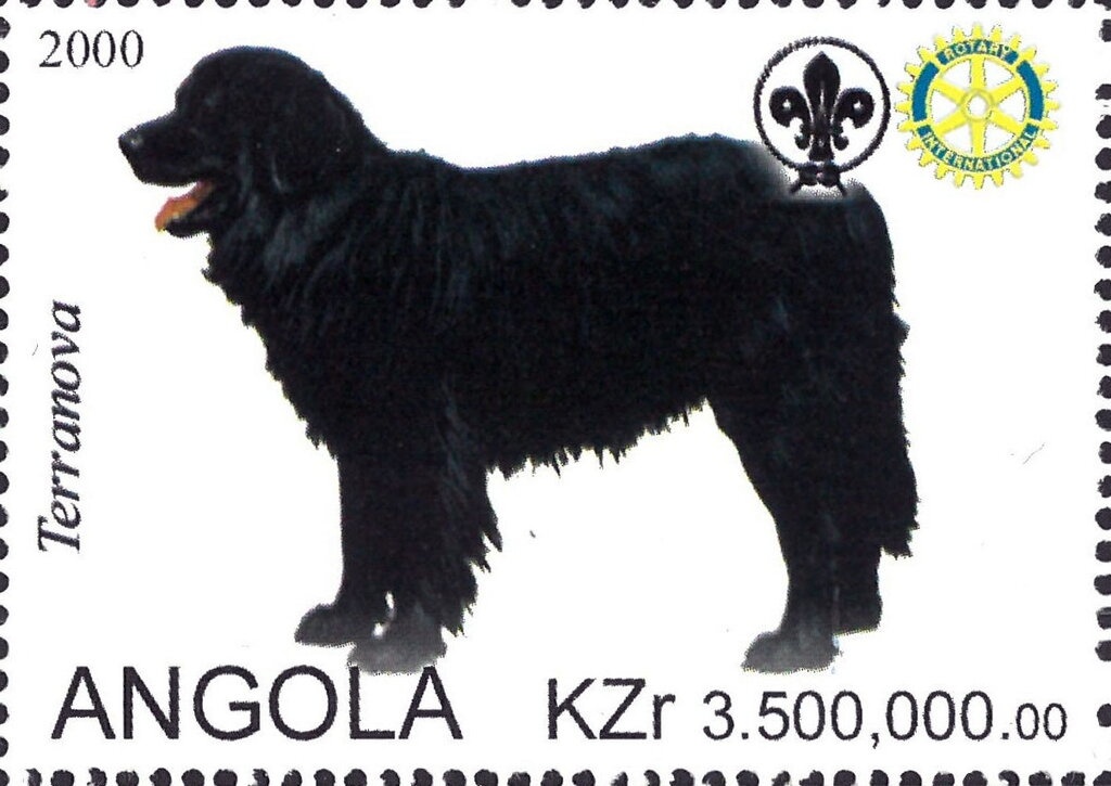 New Lighthouse, Sombrero - Overprinted