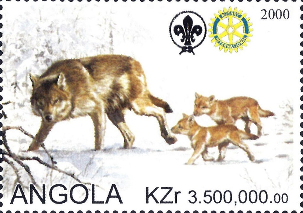 Ornated water jars from Cabinda and Luvale