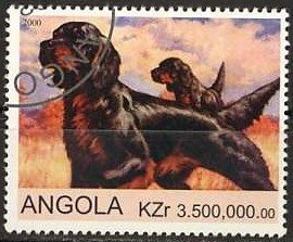 Spider Lily (Hymenocallis caribaea)