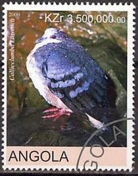 Countdown to the Millennium 1900-1909