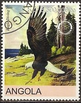 Millennium 2000 Cinema/Concorde/Space/Polar