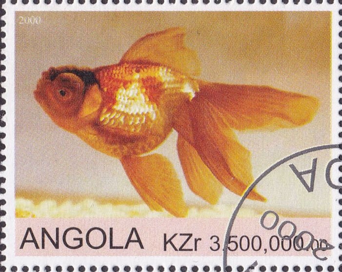 UPU Emblem over Map of Anguilla