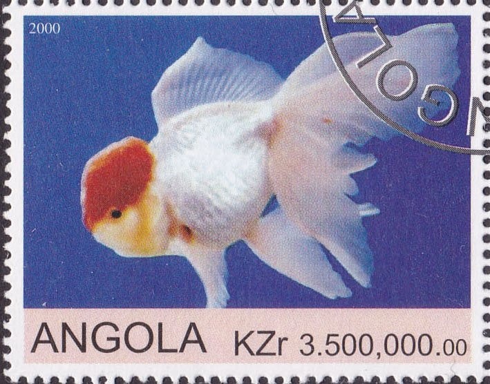 Monarch Butterfly (Danaus plexippus)