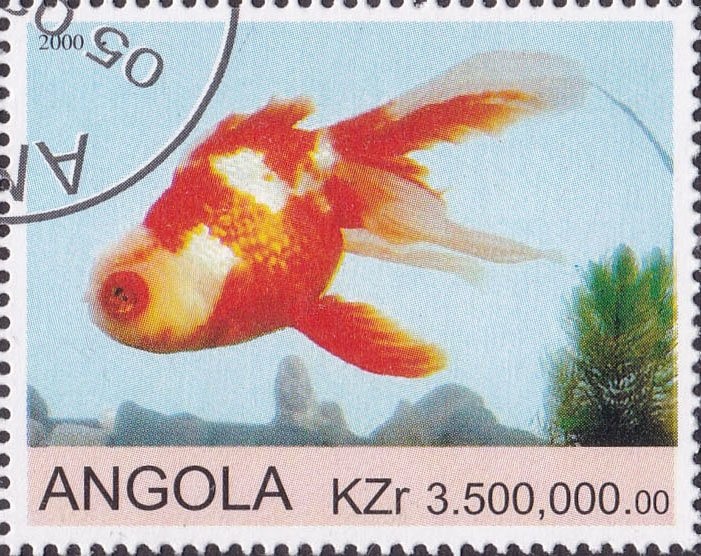 Pope John Paul II Visit to the Holyland