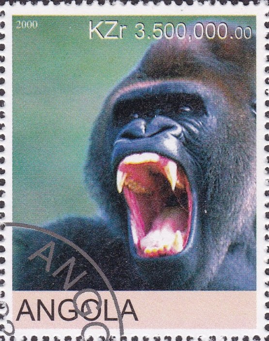 Fight against violence against Women