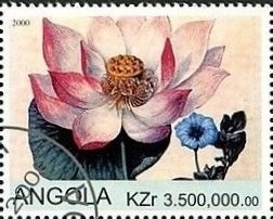 Arts Festival/Fruit Booklet