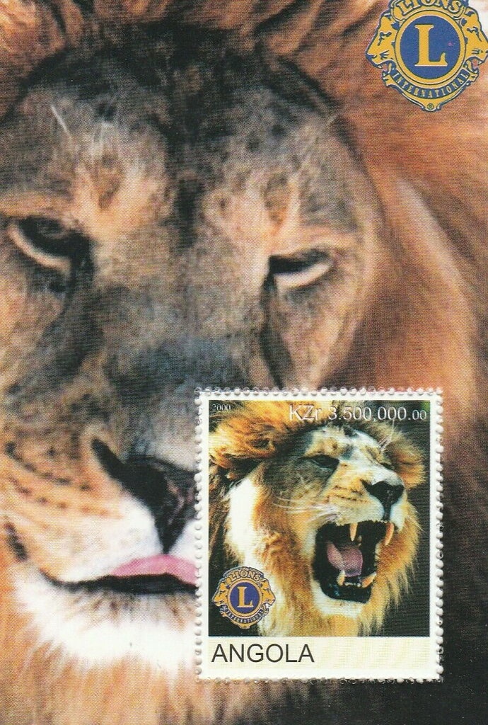 Grey Kingbird (Tyrannus dominicensis) - Overprinted