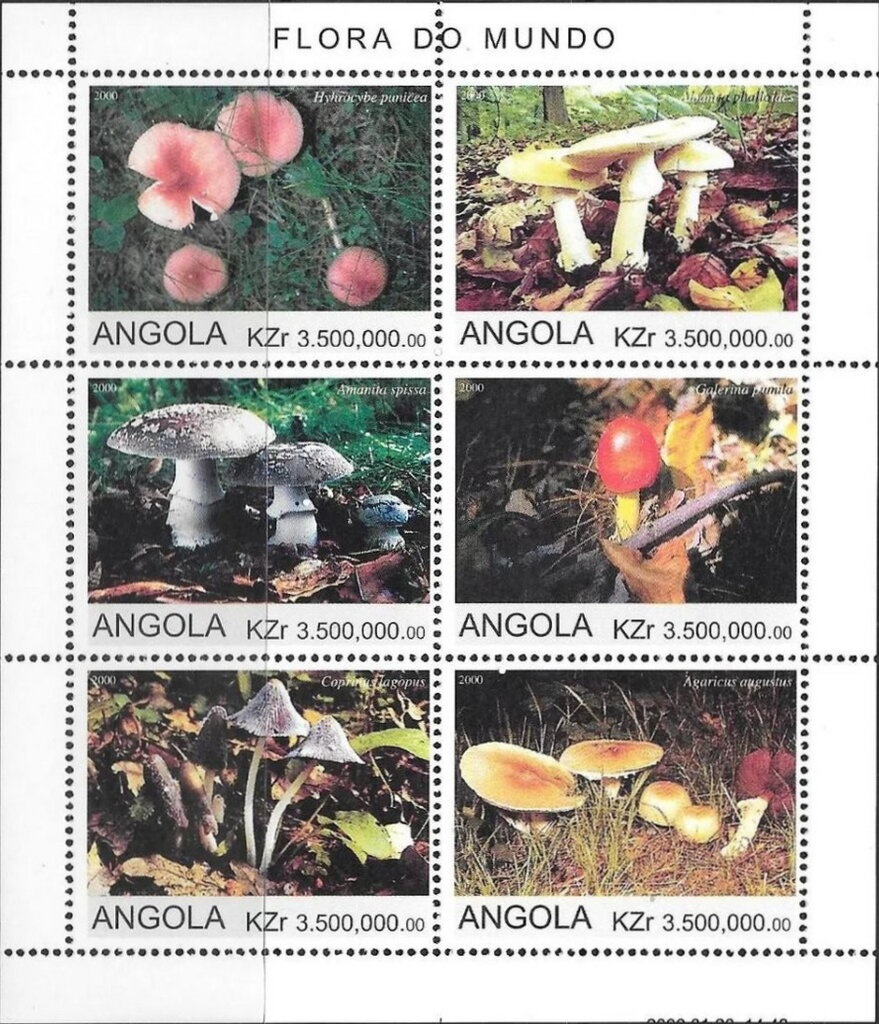 Ferarri Formula 1 Racing Drivers