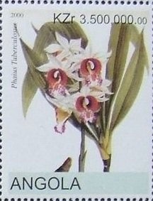 Lady Diana Spencer in 1981 - Overprinted