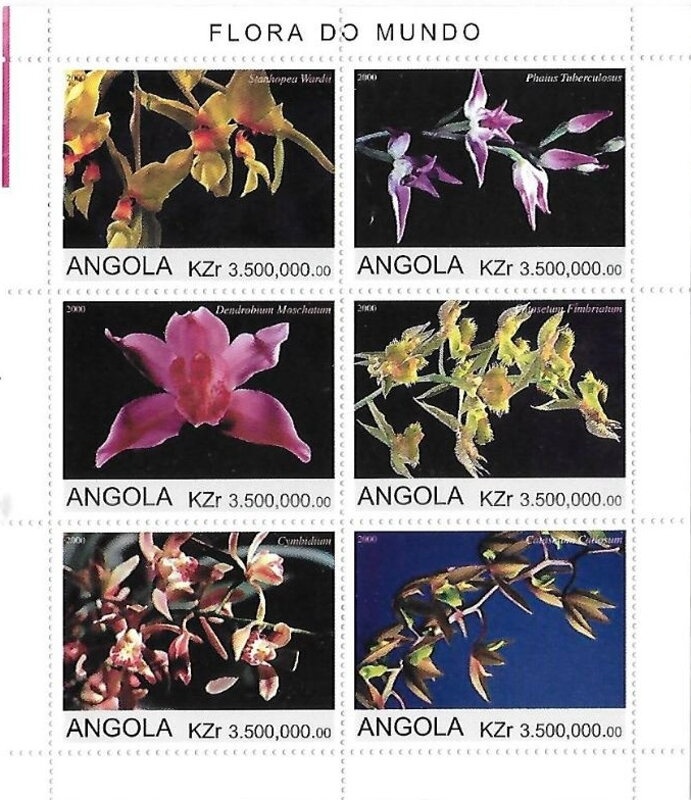 Stropharia aeruginosa Overprint