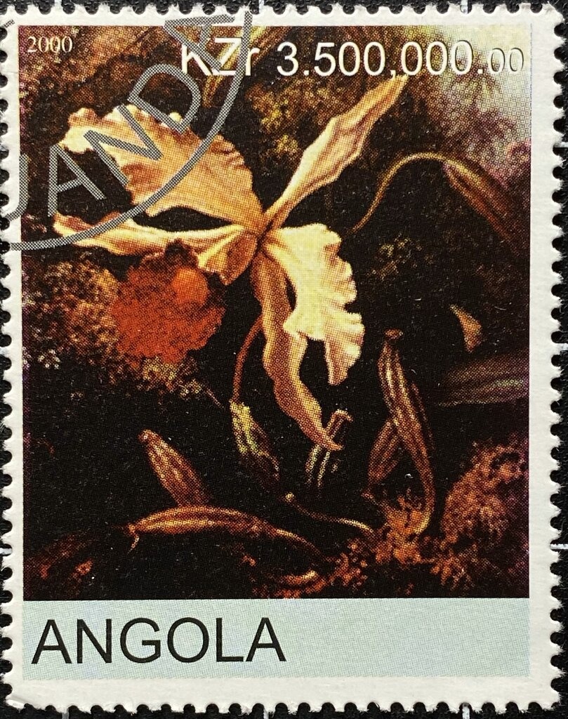 Painted Lady (Vanessa cardui)