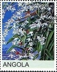 Planning the Rebuilding of Lisbon after Earthquake