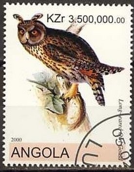 Southern Right Whale (Eubalaena australis)