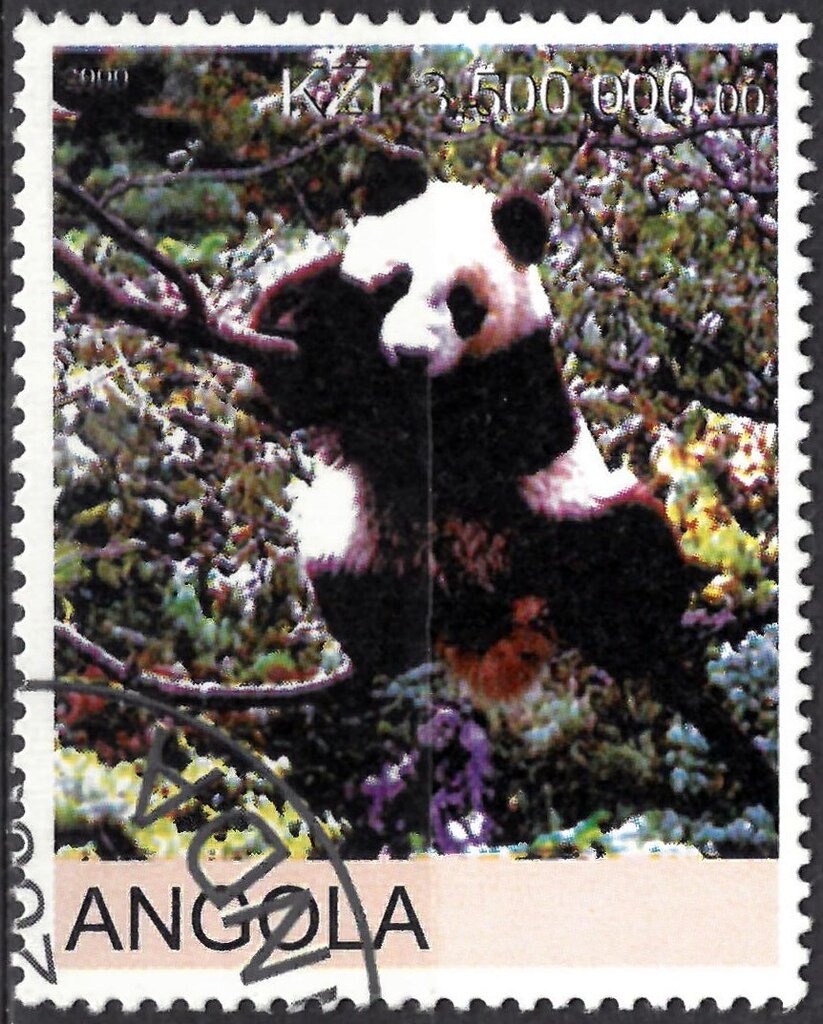 Javelin and Wheelchair Basketball