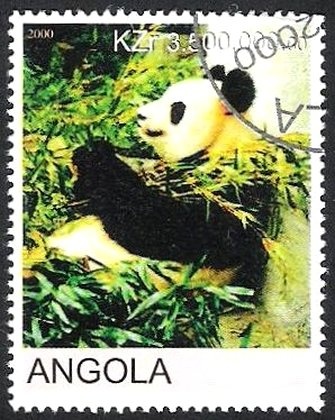 Cape Hare (Lepus capensis)