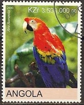 Brown Hairstreak (Thecla betulae)