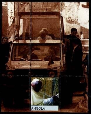 Southern Right Whale (Eubalaena australis)