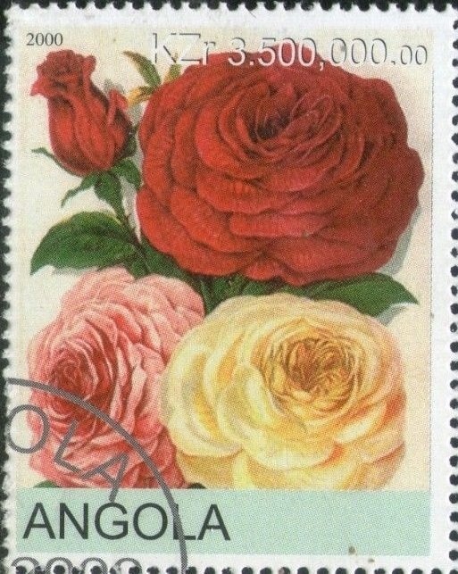 Collecting Presents from Christmas Tree