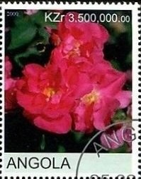 Arts Festival/Fruits Booklet