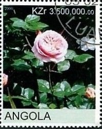 Countdown to the Millennium 1930-1939