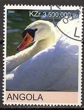 Ornated water jars from Cabinda and Luvale