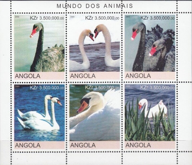 Bald Eagle (Haliaeëtus leucocephalus)