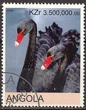 Children on Christmas Morning