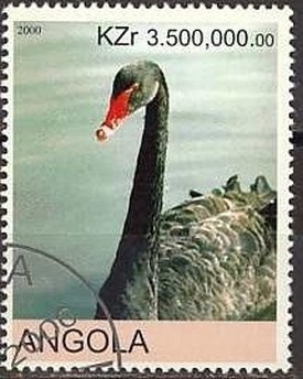 Blue-striped Grunt (Haemulon sciurus)