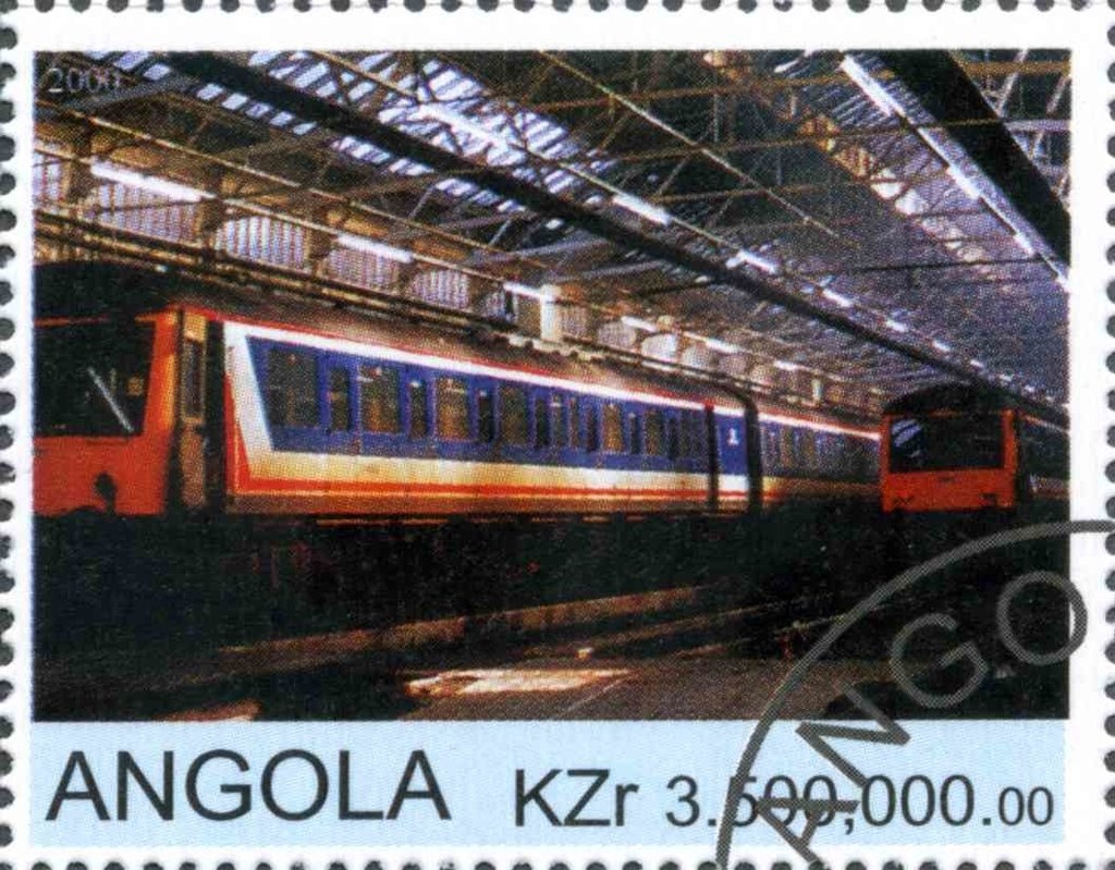 Leatherback Sea Turtle (Dermochelys coriacea)