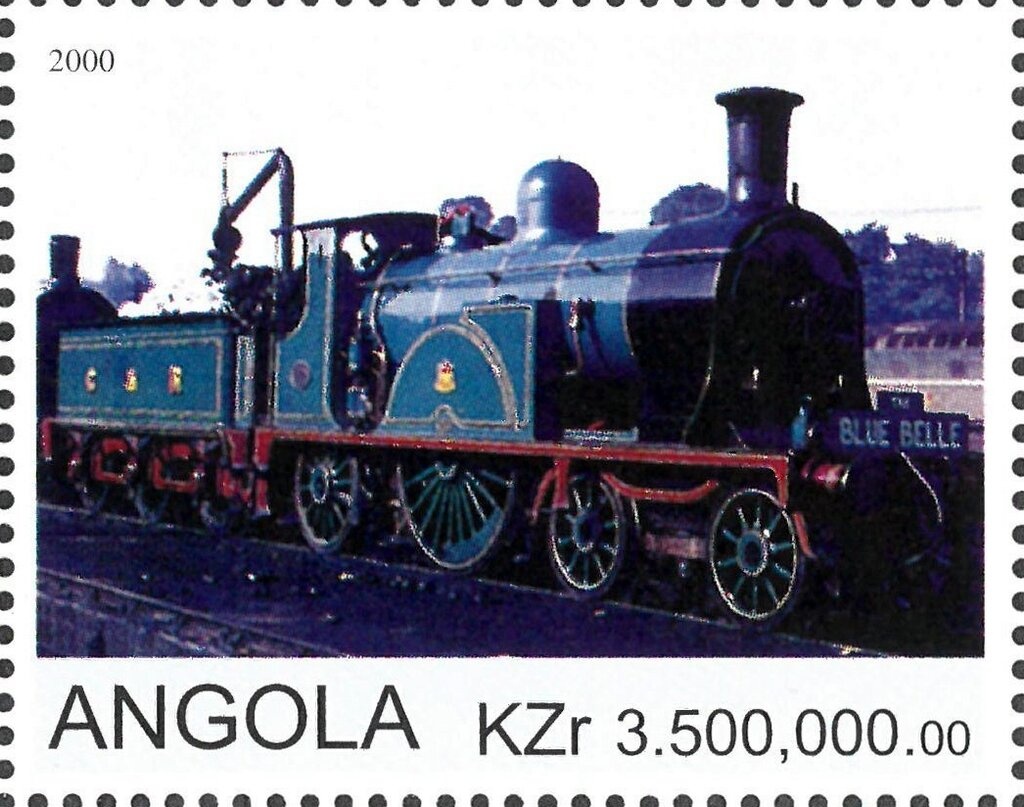 Killer Whale (Orcinus orca)