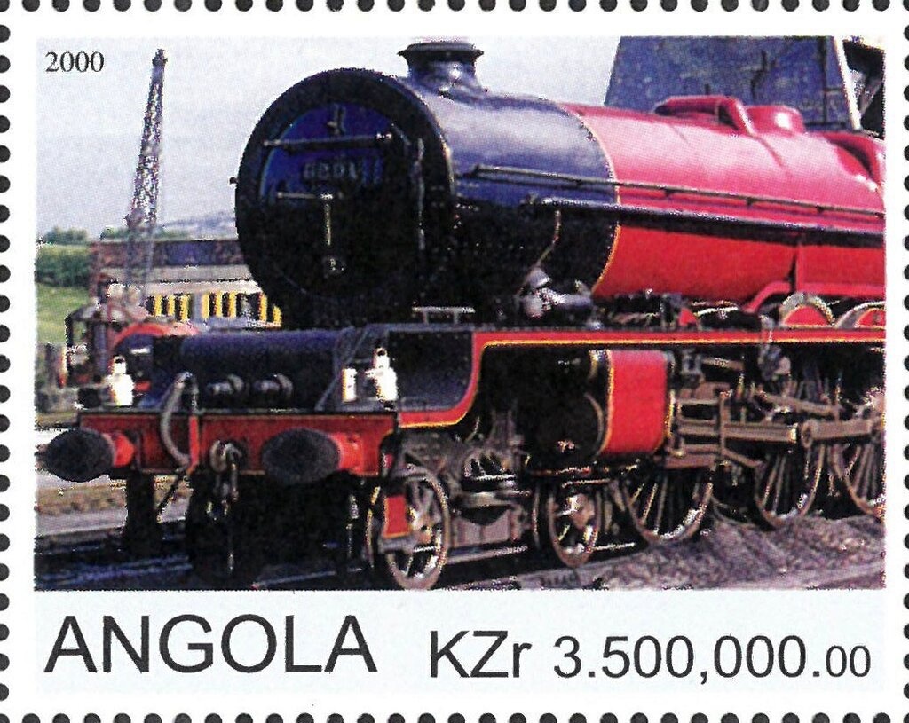 Leatherback Sea Turtle (Dermochelys coriacea)