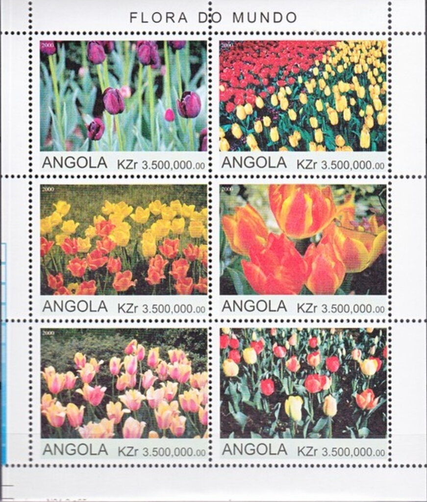 Sea Bean (Ipomea pes-caprae) - Overprinted