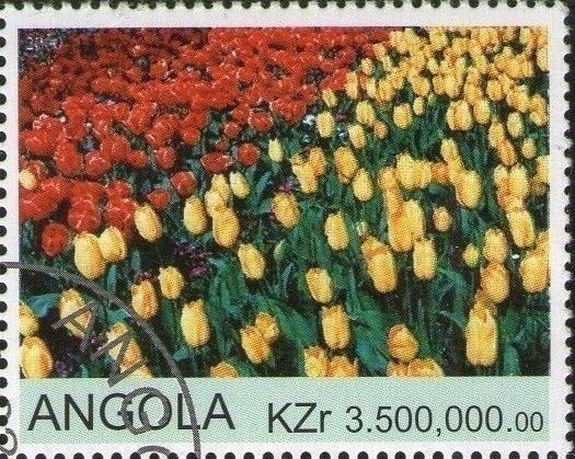 Disney Railroad Story