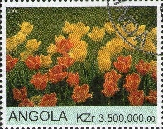 Apollo 11 - The First Steps of Man on the Moon (2019)