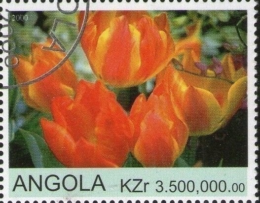 Disney Railroad Story