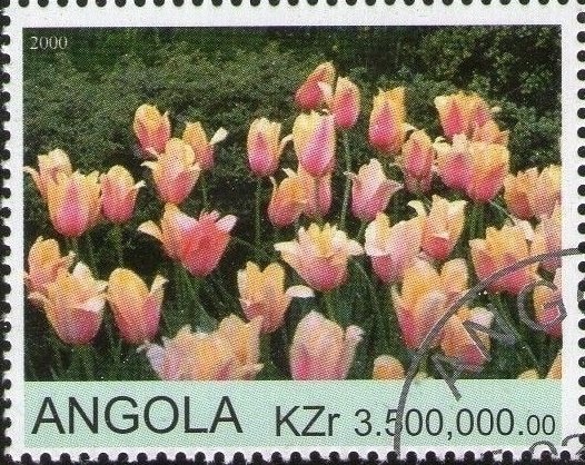 Blood Test - Thick Drop