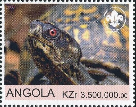 Rosy Bee-eater (Merops malimbicus)