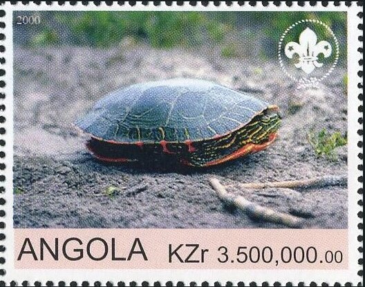 Red-billed Tropic Bird (Phaethon aethereus)