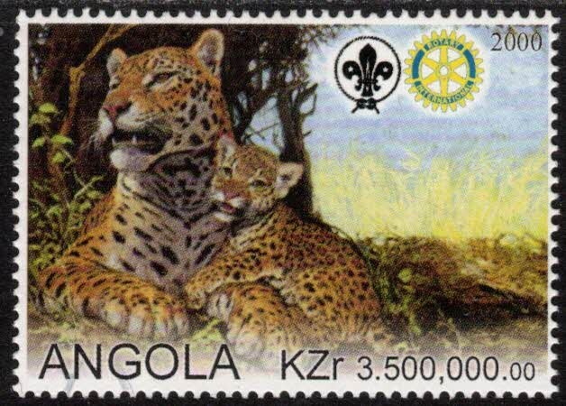 Prince Charles, Lady Diana Spencer and St. Paul's Cathedral