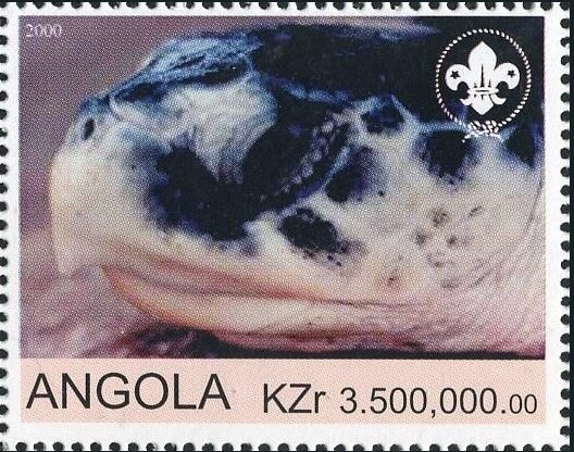 Union of Capital Cities of Portuguese Language