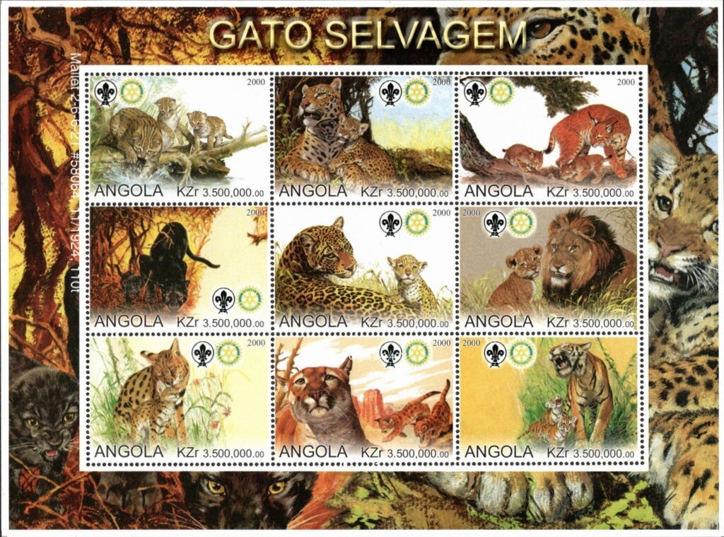 Lady Diana Spencer in 1961